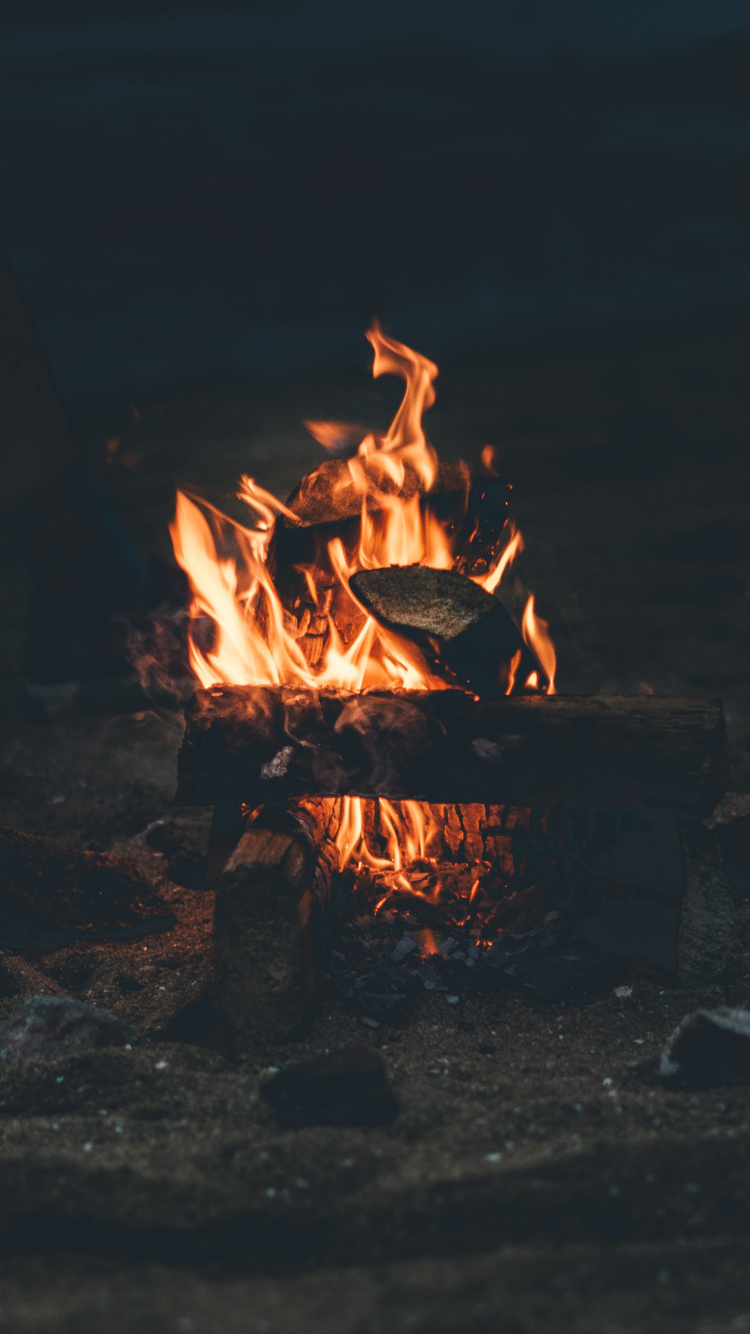 Обои пляж, ночь, тепло, огонь, костер в разрешении 750x1334