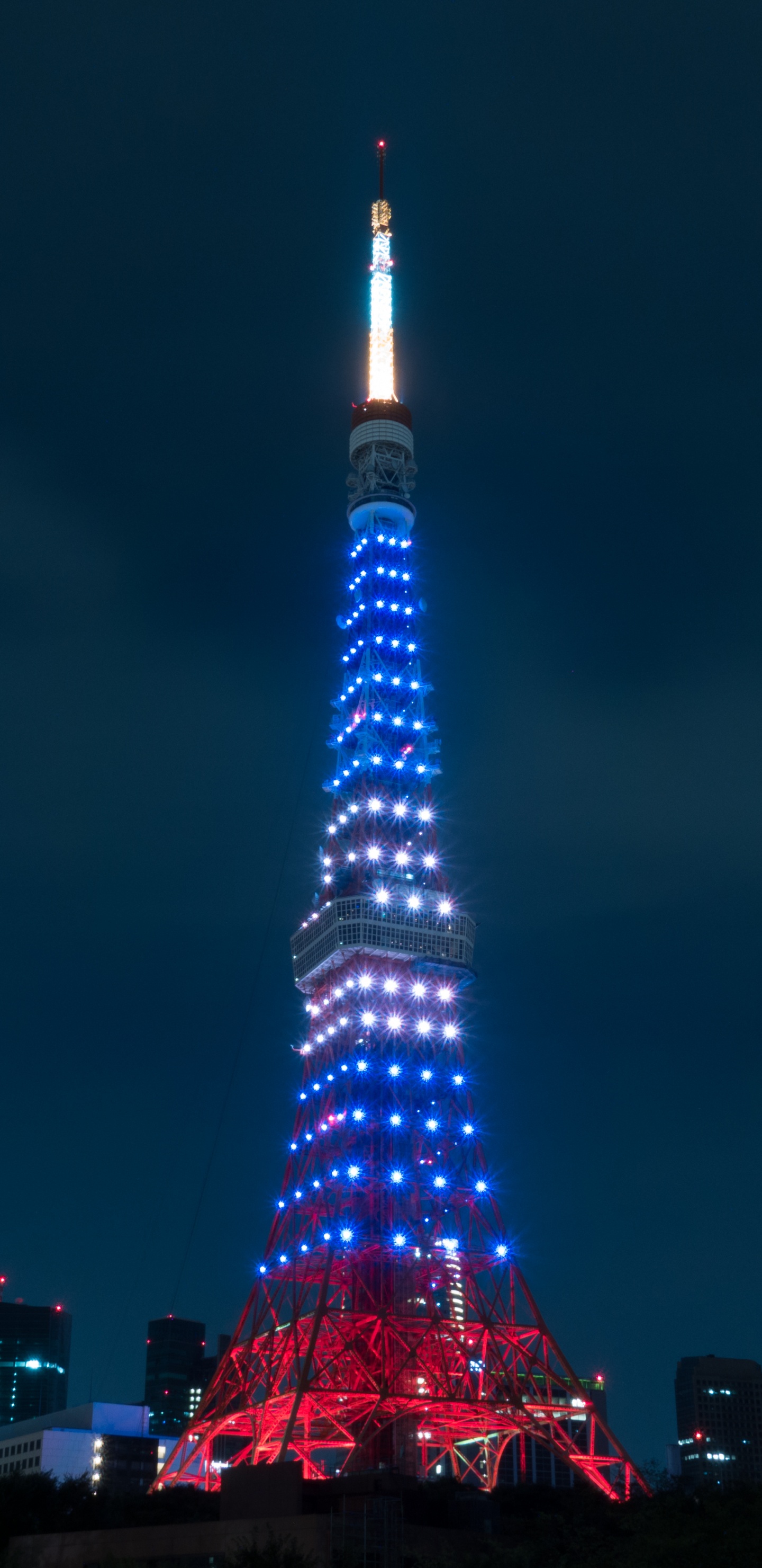Обои токийская башня, вышка, ориентир, ночь, город в разрешении 1440x2960