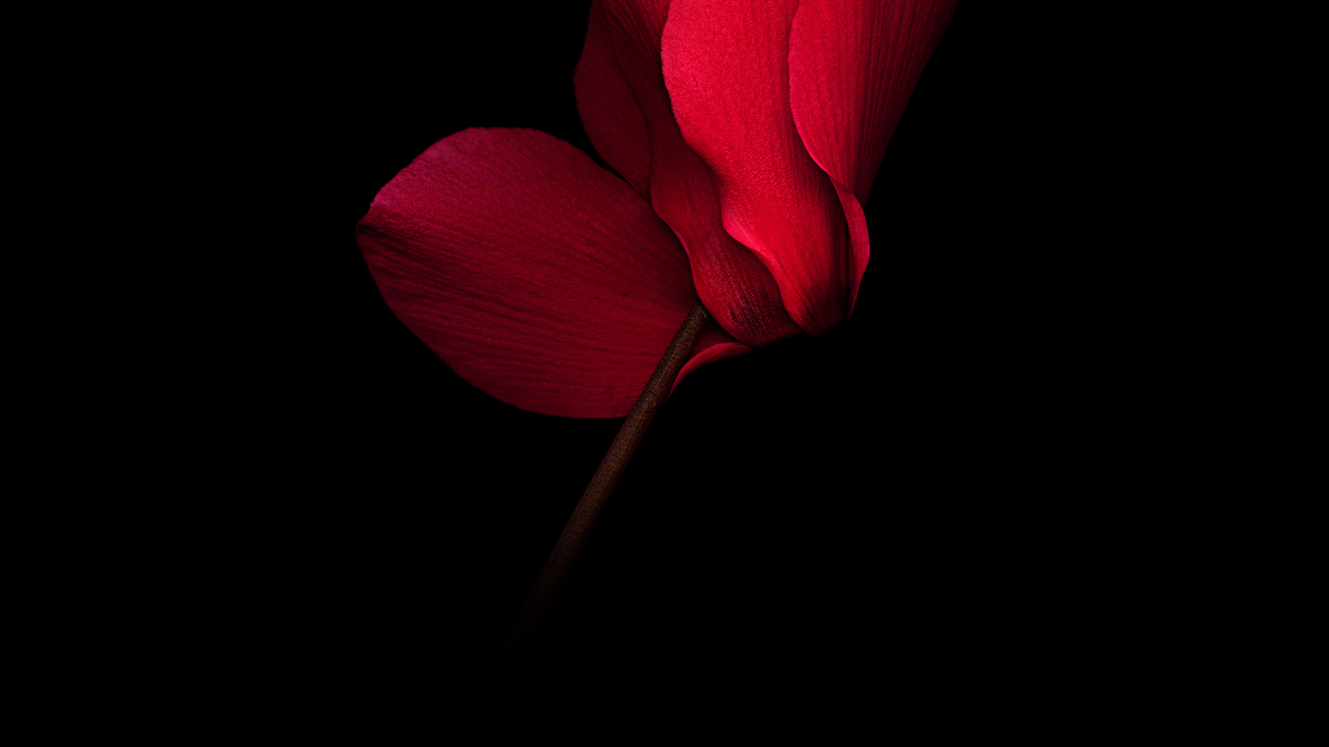 Обои Huawei, амолед, Huawei Mate, OLED, Huawei Mate RS в разрешении 1920x1080