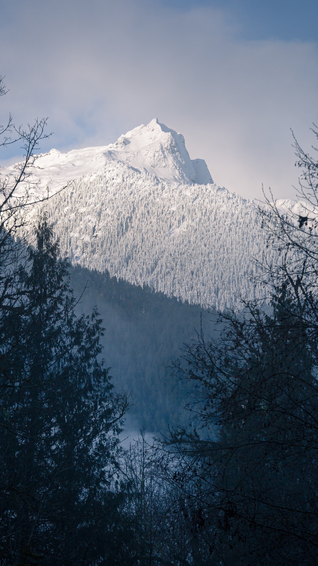 Обои солнечный свет, снег, гора, горный рельеф, пейзажи гор в разрешении 1080x1920