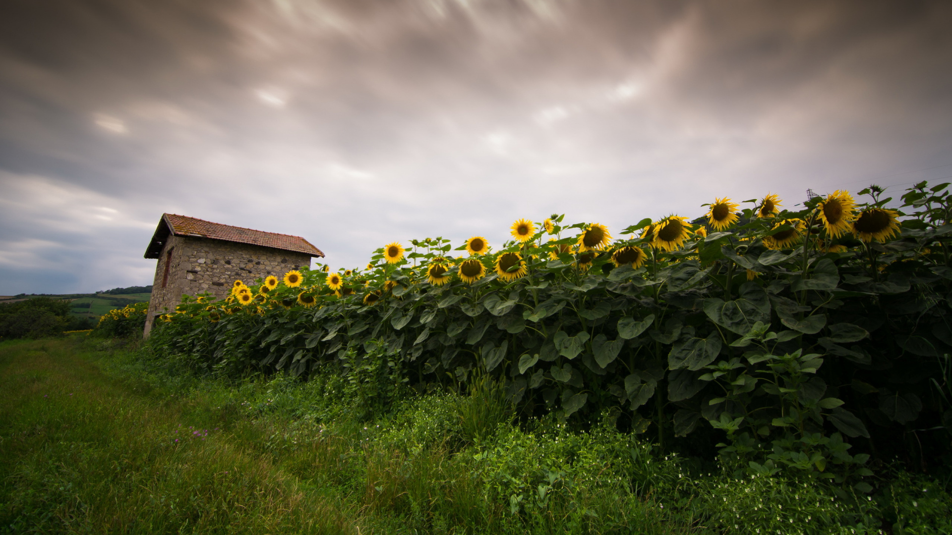 Обои облако, поле, сумрак, небо, Хаус в разрешении 1920x1080