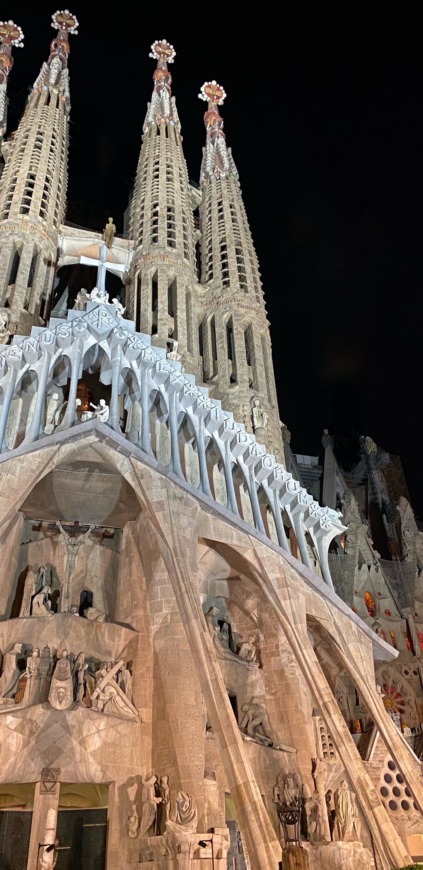 Обои Барселона, Испания, ориентир, средневековая архитектура, собор в разрешении 1440x2960