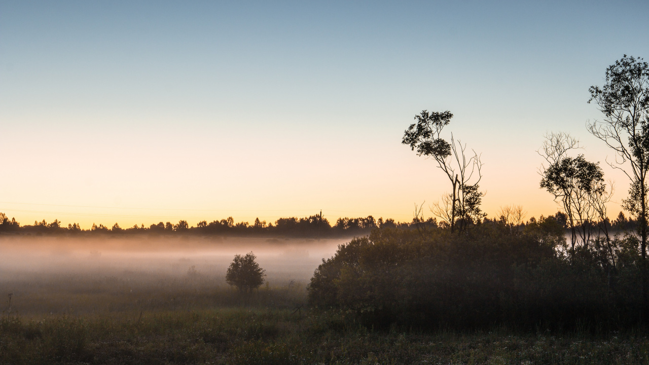 Обои рассвет, утро, восход солнца, дерево, туман в разрешении 1280x720
