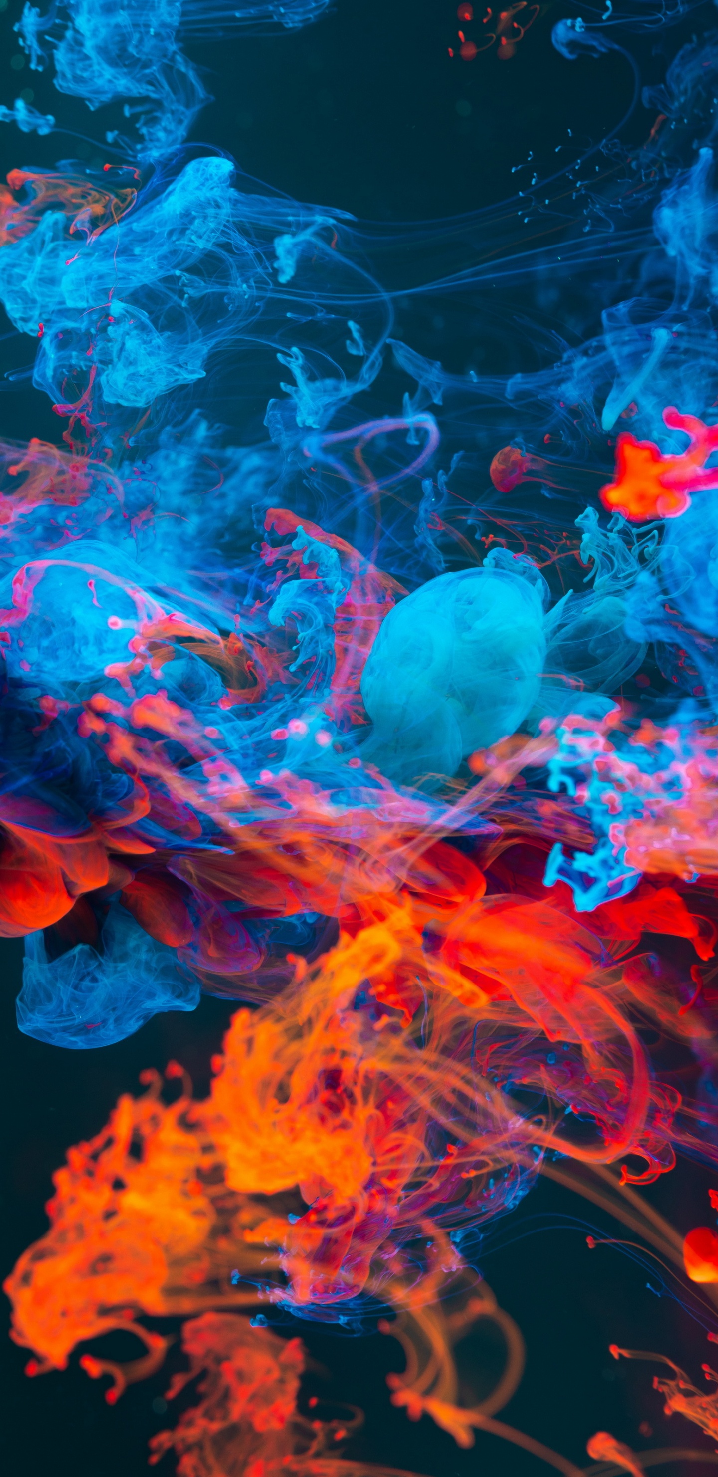 Обои планшет, Эпл, Панель IPS, вода, свет в разрешении 1440x2960