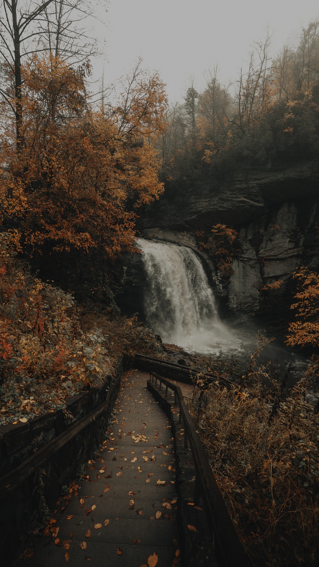 Обои водоем, водопад, природа, вода, природный ландшафт в разрешении 1080x1920