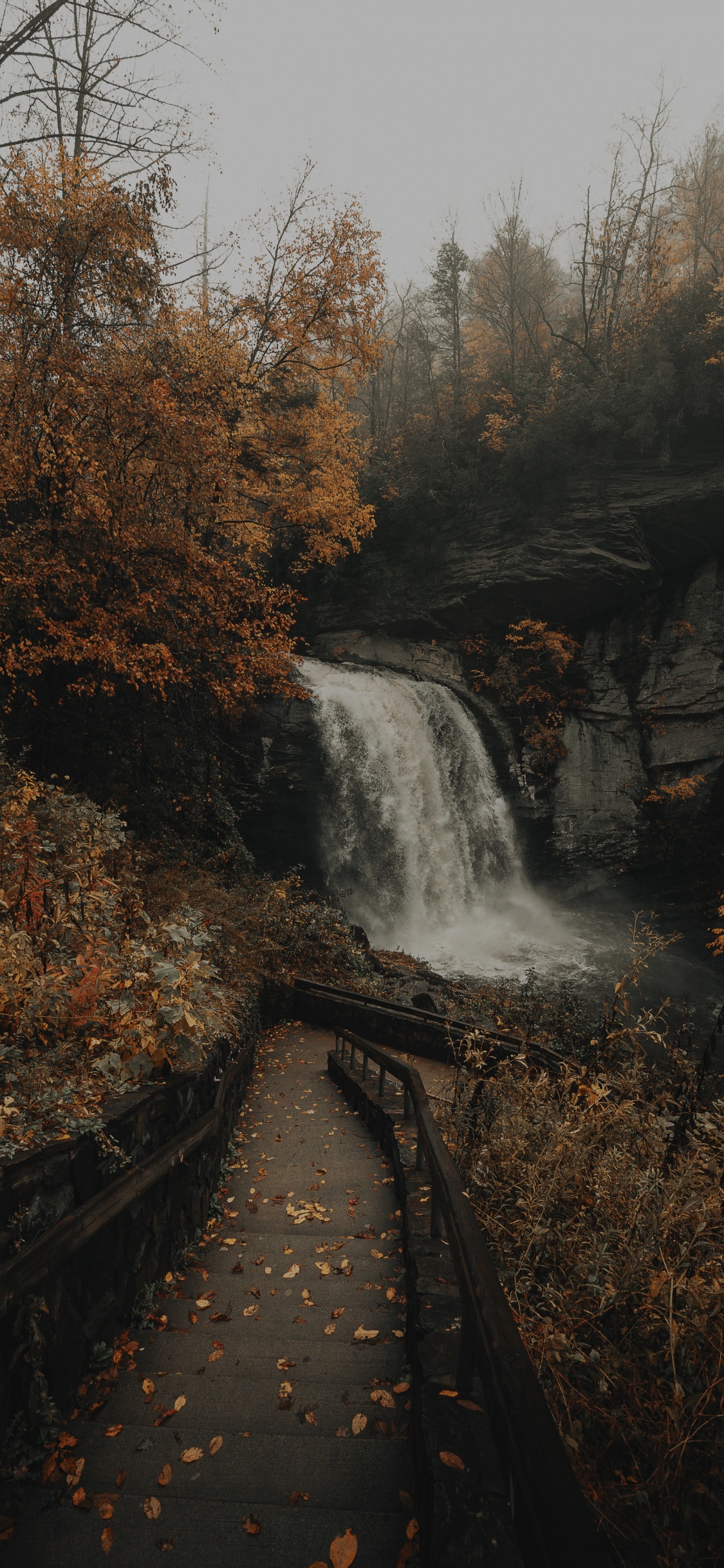 Обои водоем, водопад, природа, вода, природный ландшафт в разрешении 1125x2436