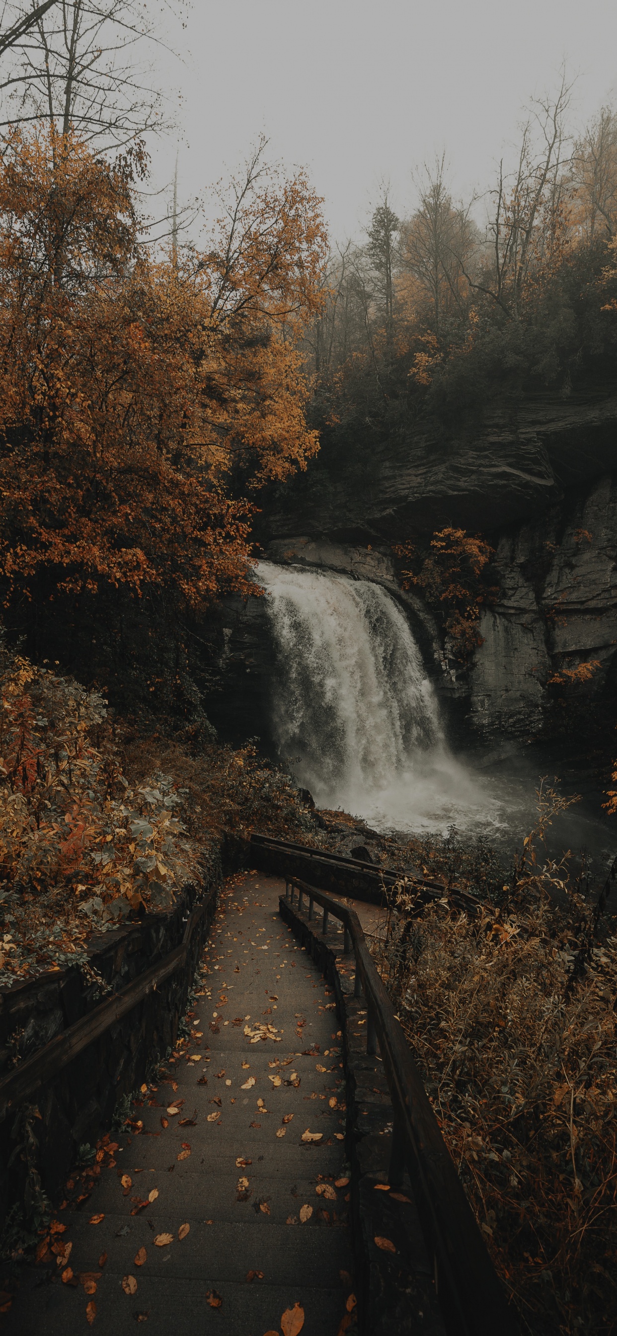 Обои водоем, водопад, природа, вода, природный ландшафт в разрешении 1242x2688