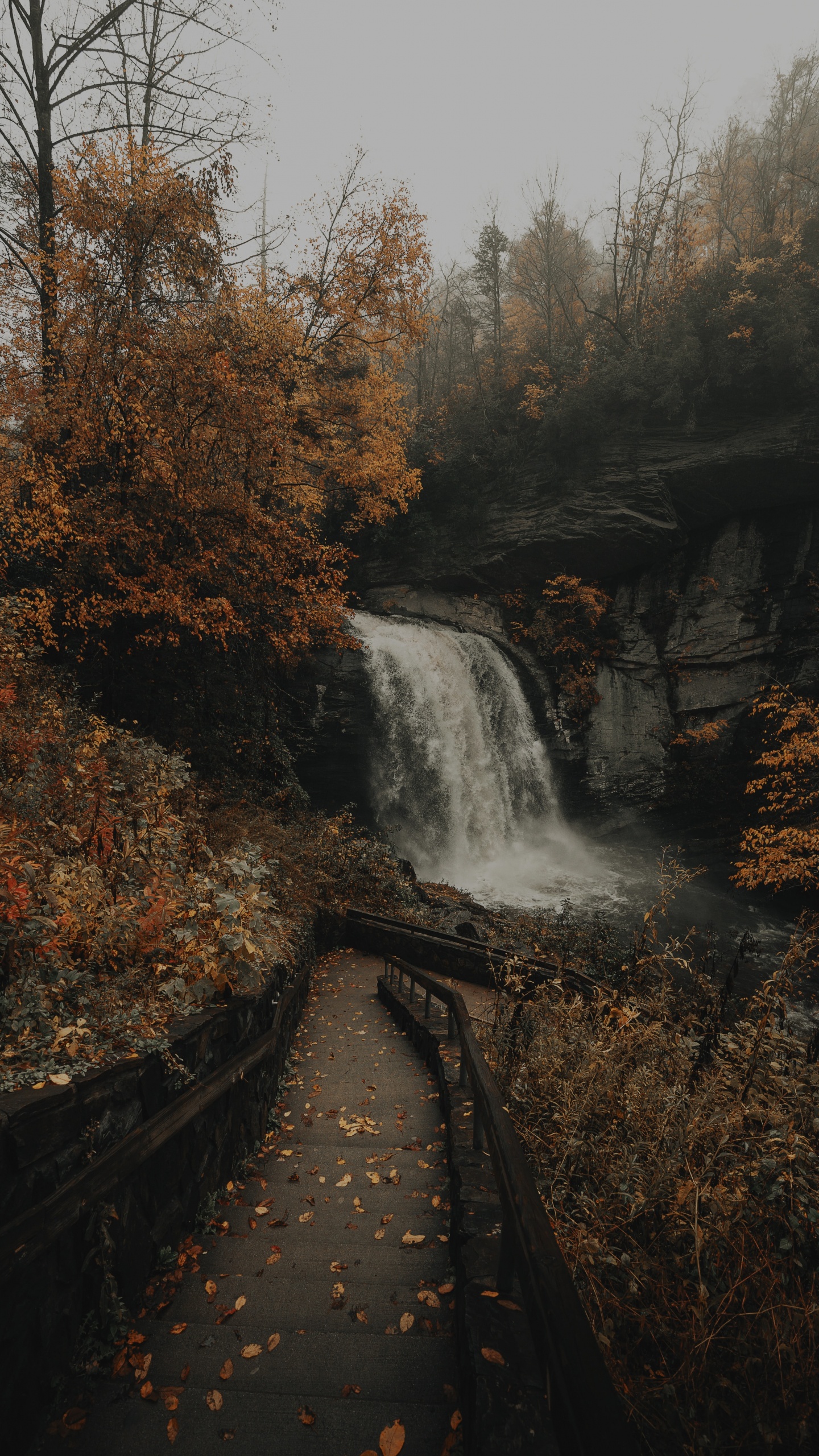 Обои водоем, водопад, природа, вода, природный ландшафт в разрешении 1440x2560