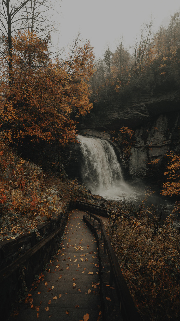 Обои водоем, водопад, природа, вода, природный ландшафт в разрешении 750x1334