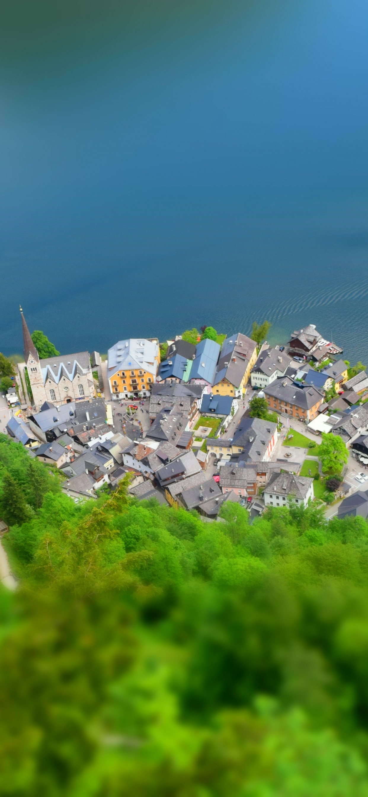 Обои Гальштат Австрия, Альтаусзее, Верхняя Австрия Зальцкаммергут, вода, растение в разрешении 1242x2688