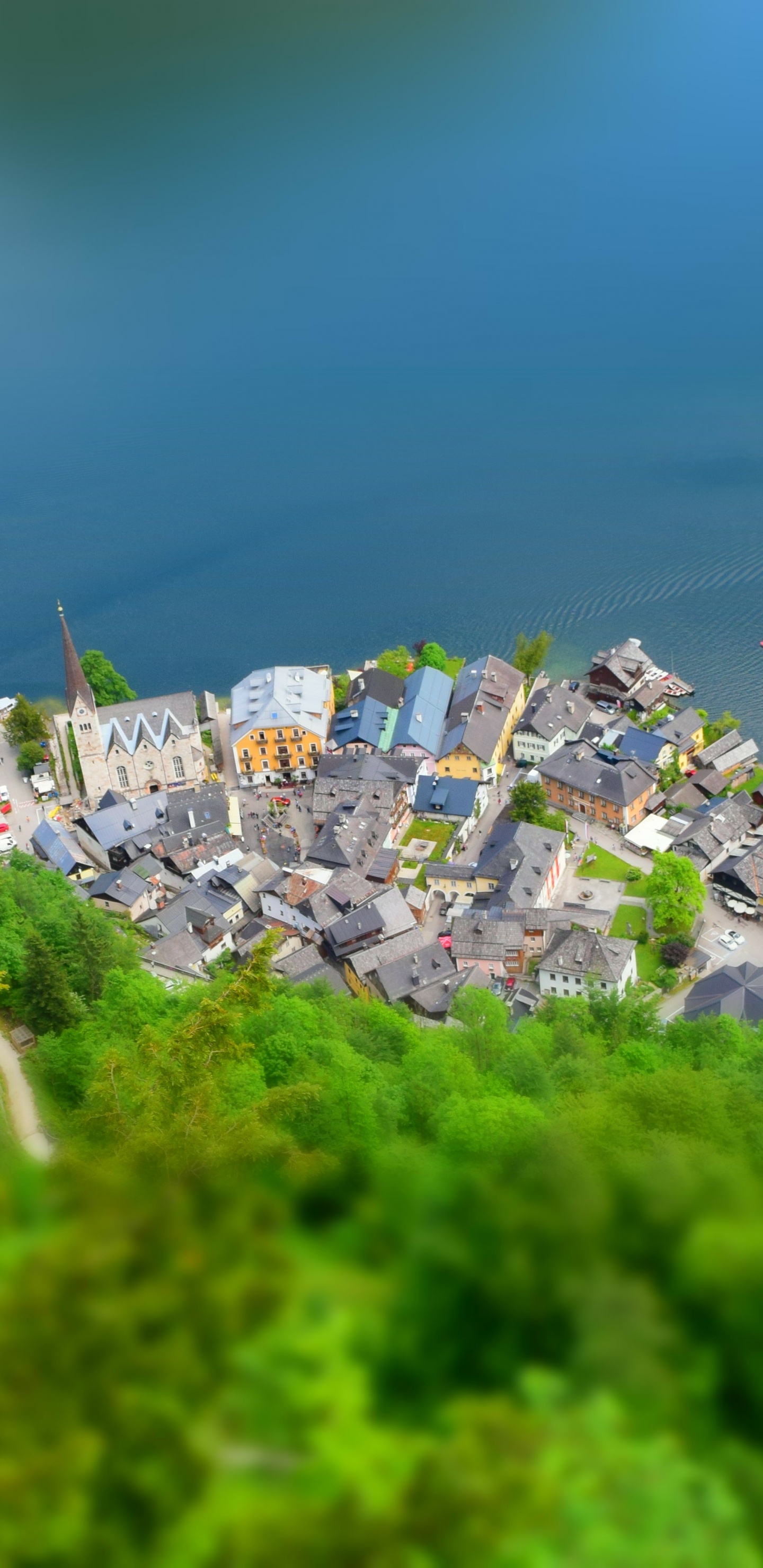 Обои Гальштат Австрия, Альтаусзее, Верхняя Австрия Зальцкаммергут, вода, растение в разрешении 1440x2960