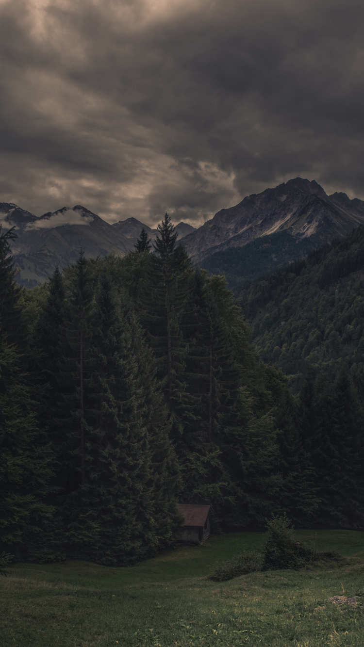 Обои нагорье, облако, растение, гора, дерево в разрешении 750x1334