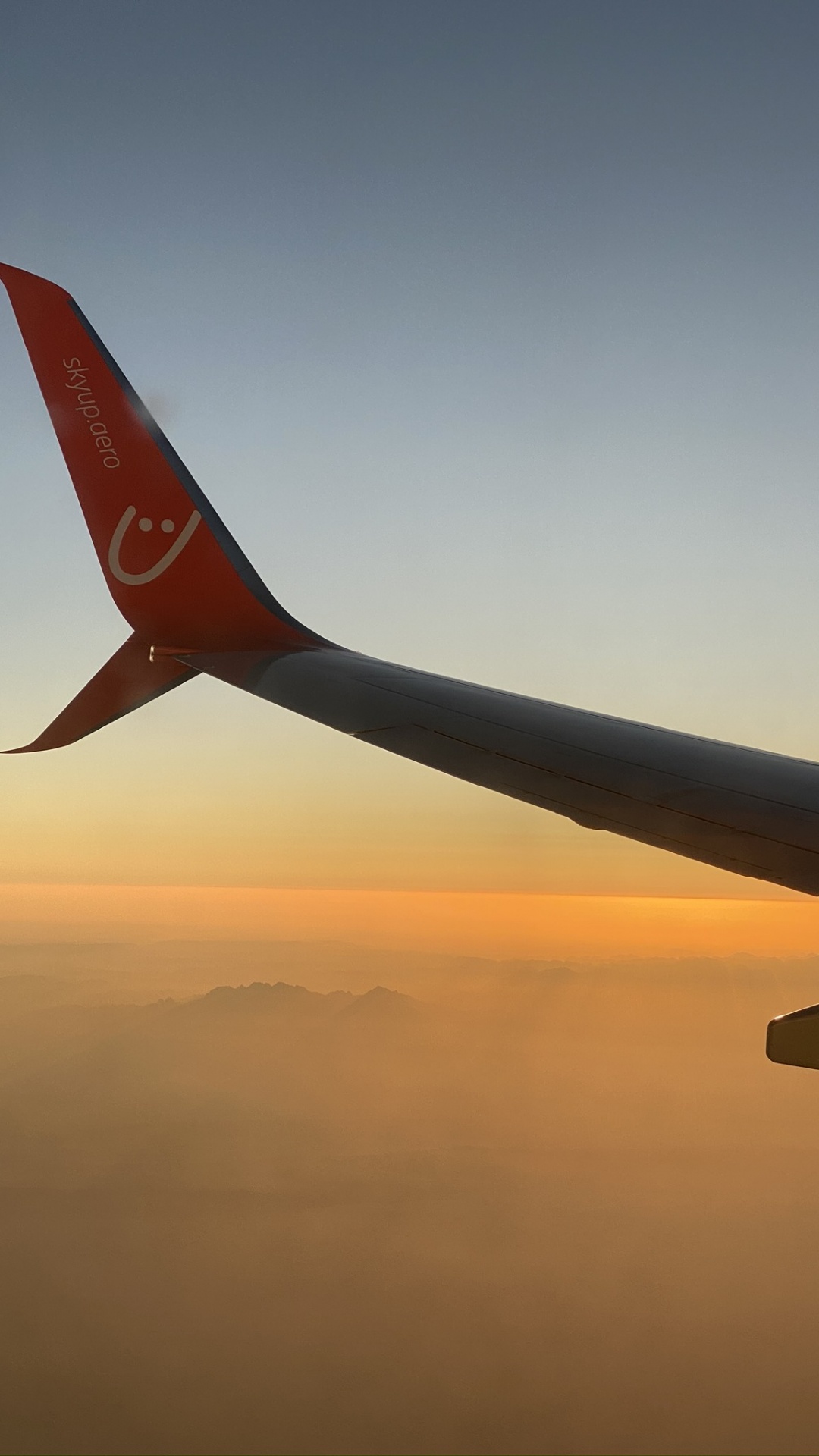 Обои воздушное путешествие, узкофюзеляжный самолет, самолет, Аэробус, самолеты в разрешении 1080x1920