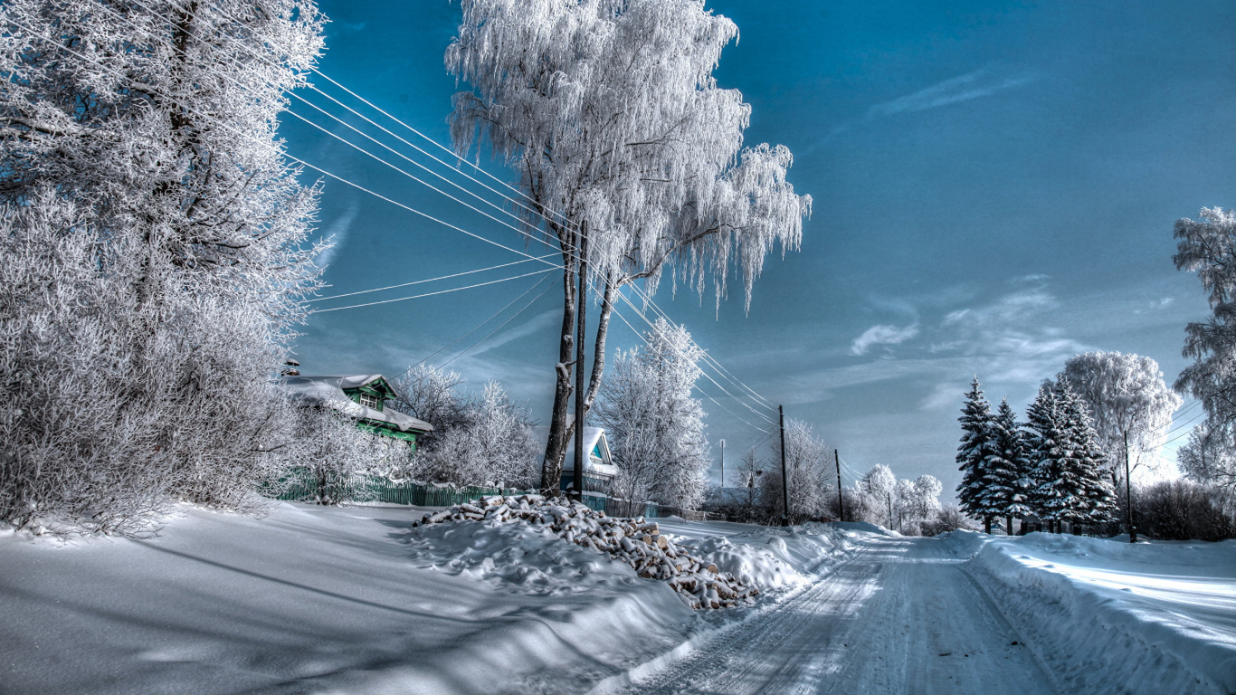 Обои зима, снег, природа, облако, дерево в разрешении 1366x768