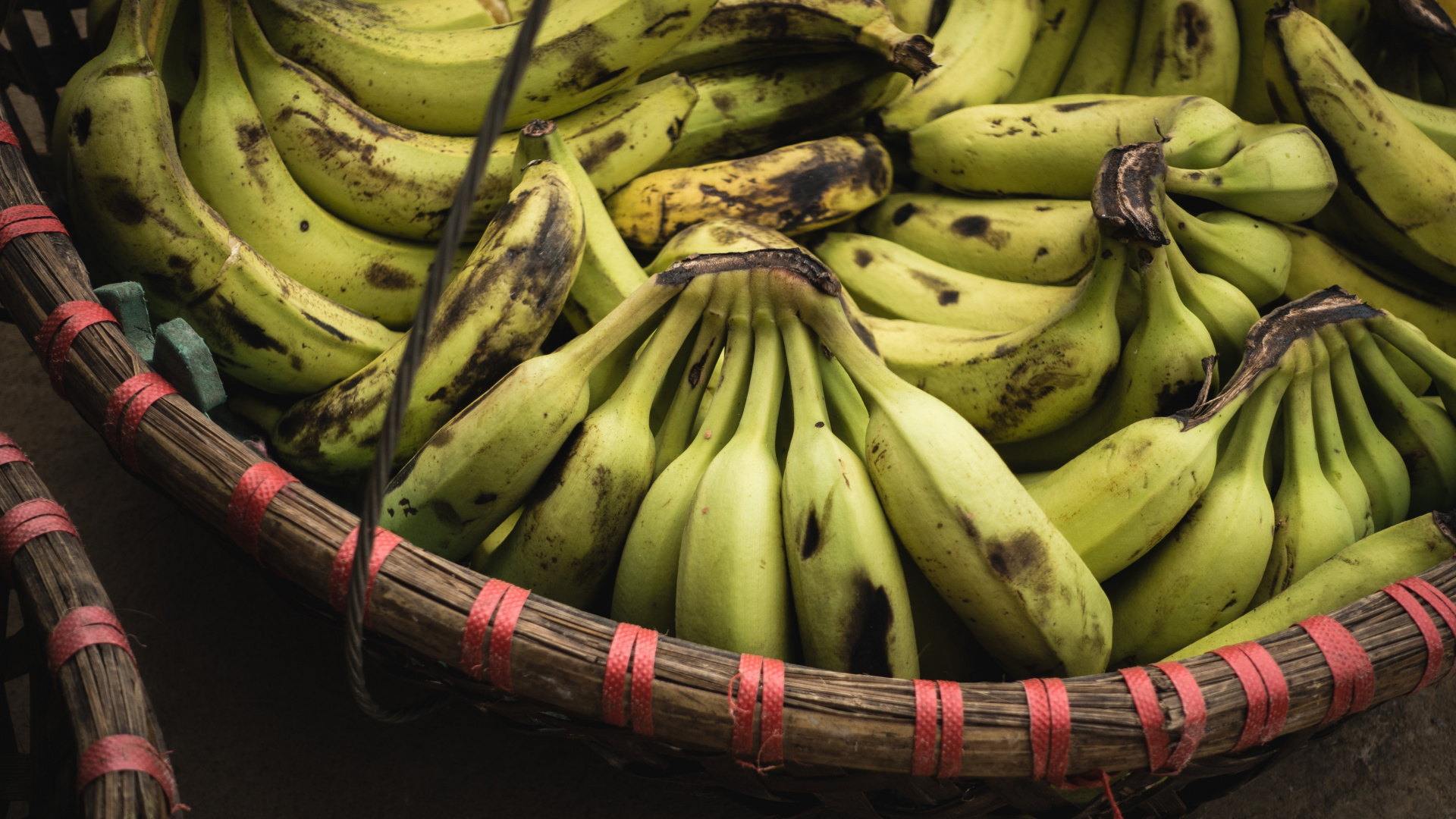 Обои банан, банан Саба, Приготовление подорожника, банан семье, растение в разрешении 1920x1080