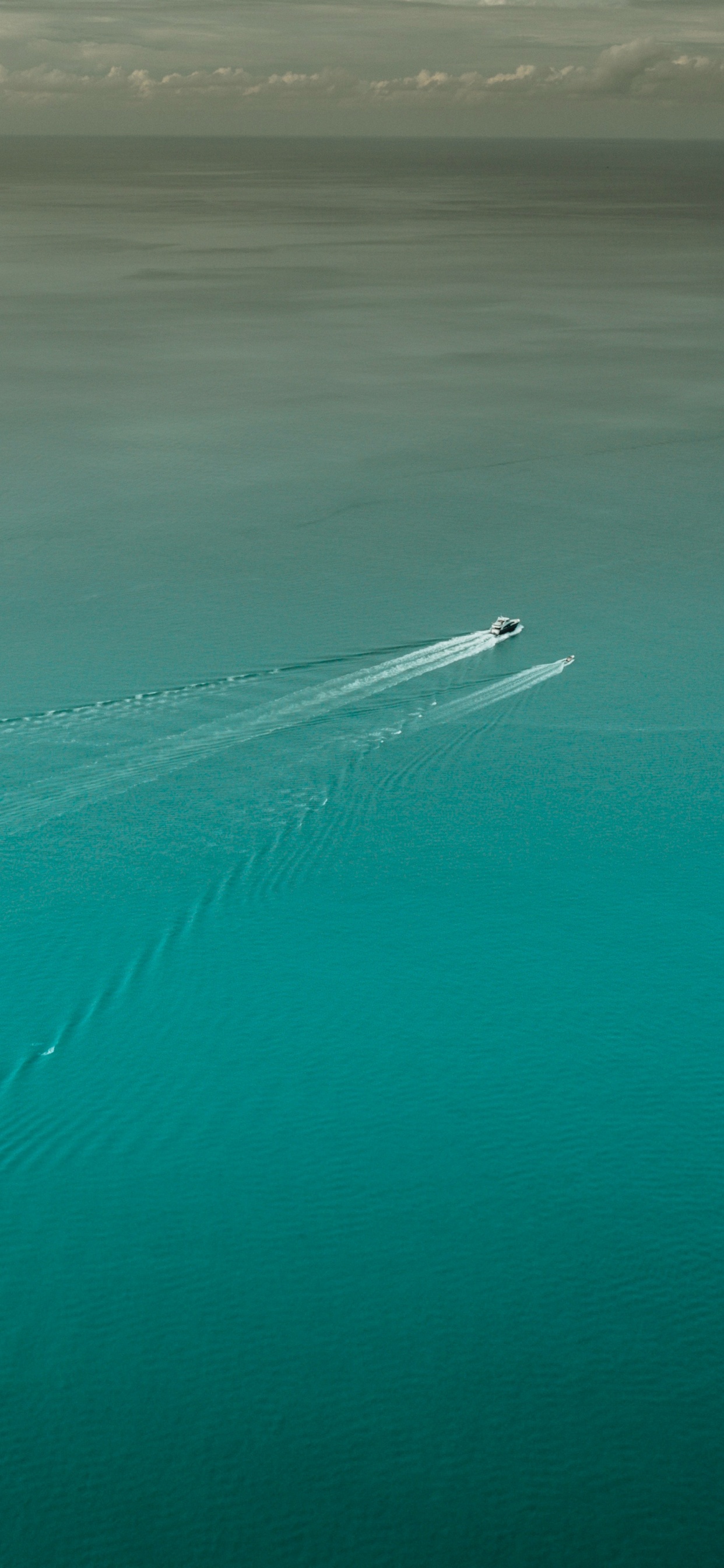 Обои синий, море, вода, Аква, бирюза в разрешении 1242x2688