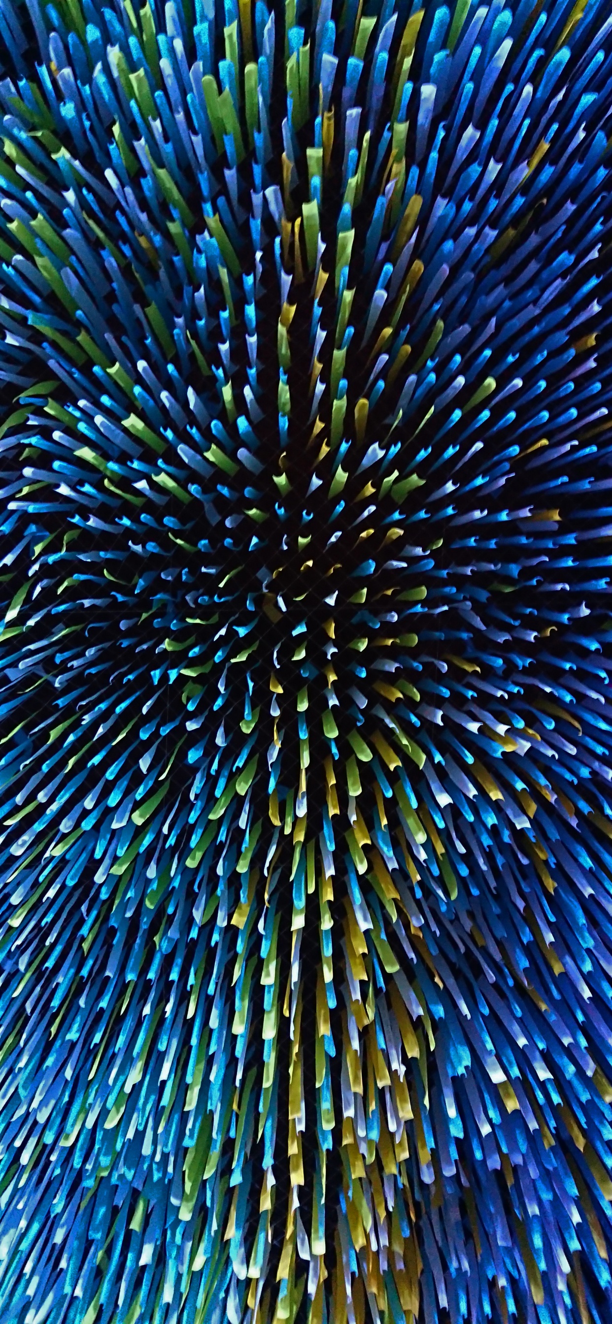 Обои синий, электрик, растение, симметрия, бумага в разрешении 1242x2688