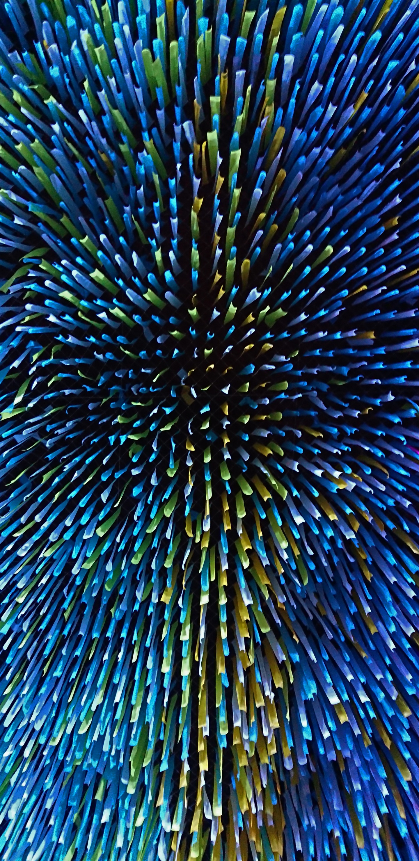 Обои синий, электрик, растение, симметрия, бумага в разрешении 1440x2960