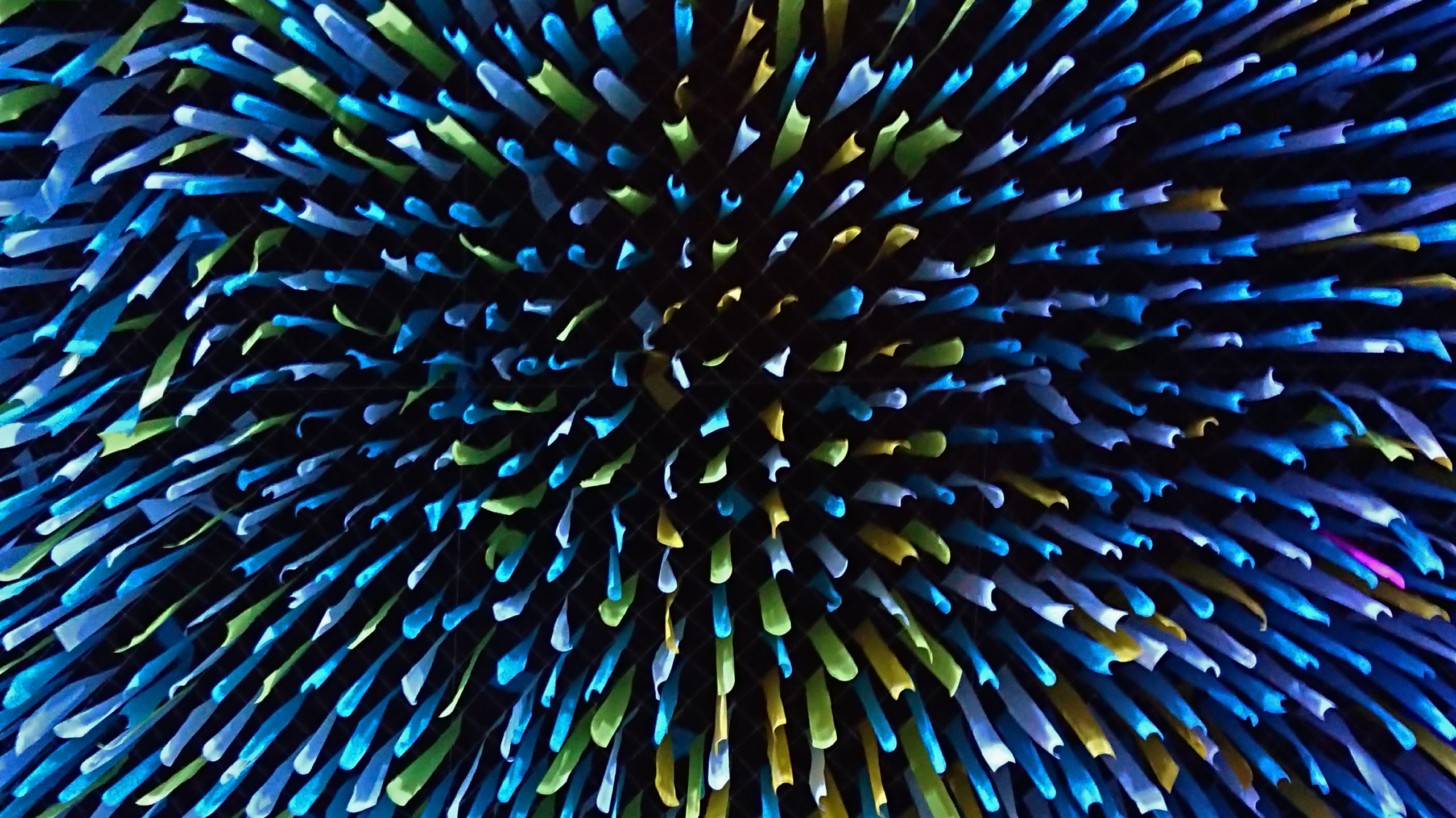 Обои синий, электрик, растение, симметрия, бумага в разрешении 2560x1440