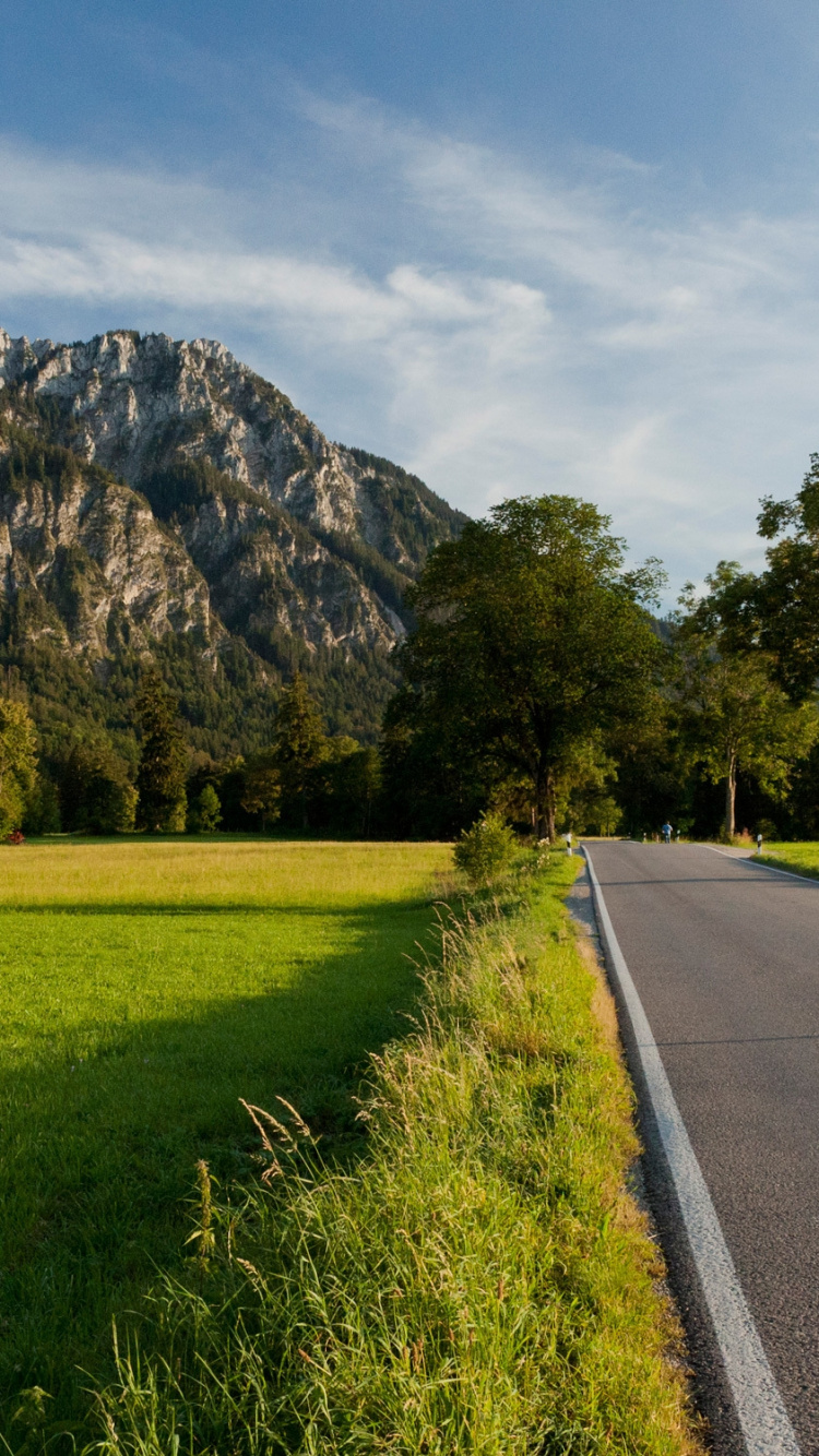 Обои замок Нойшванштайн, замок, природа, горный рельеф, дорога в разрешении 750x1334