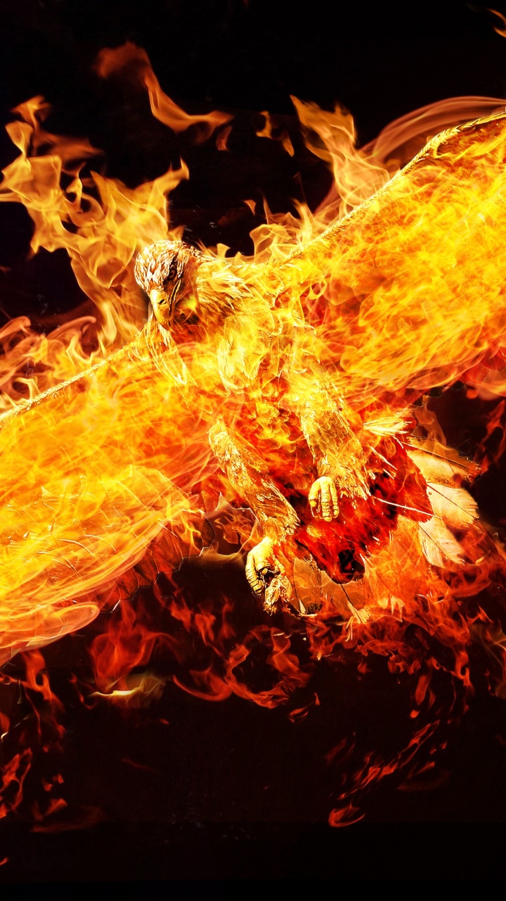 Обои Феникс, пламя, огонь, тепло, темнота в разрешении 720x1280