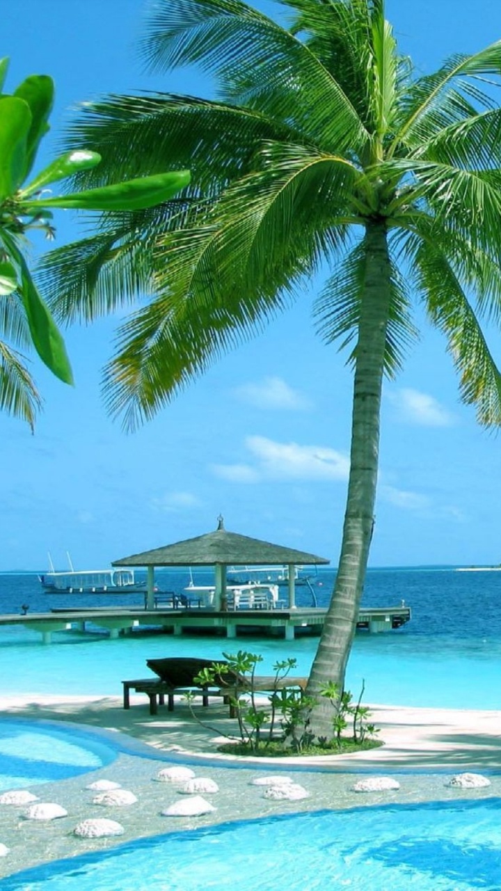 Обои пляж, морской курорт, прибежище, тропическая зона, отпуск в разрешении 720x1280