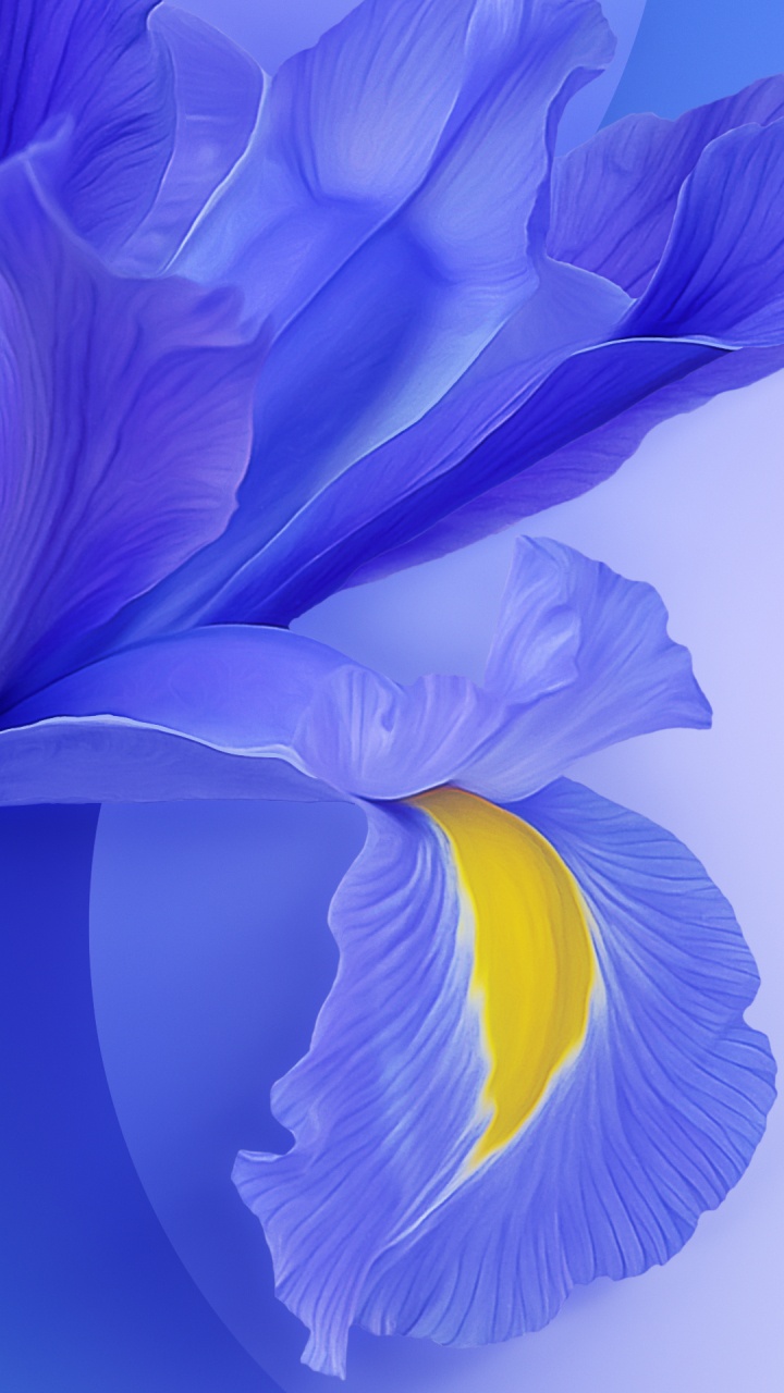 Обои Xiaomi, Xiaomi Redmi K20 Pro, обои ми 9, xiaomi mi 9, xiaomi mi 9 pro в разрешении 720x1280