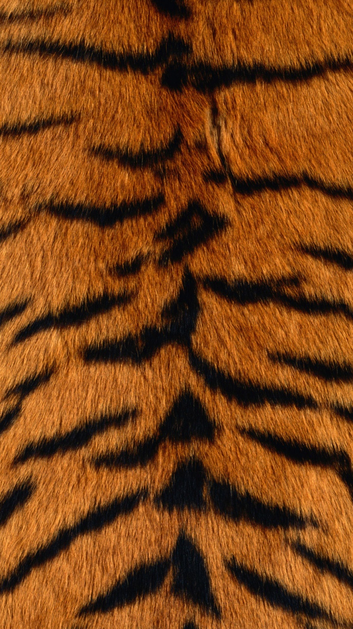 Обои тигровая шкура, Леопард, Амурский тигр, мех, животных печати в разрешении 720x1280