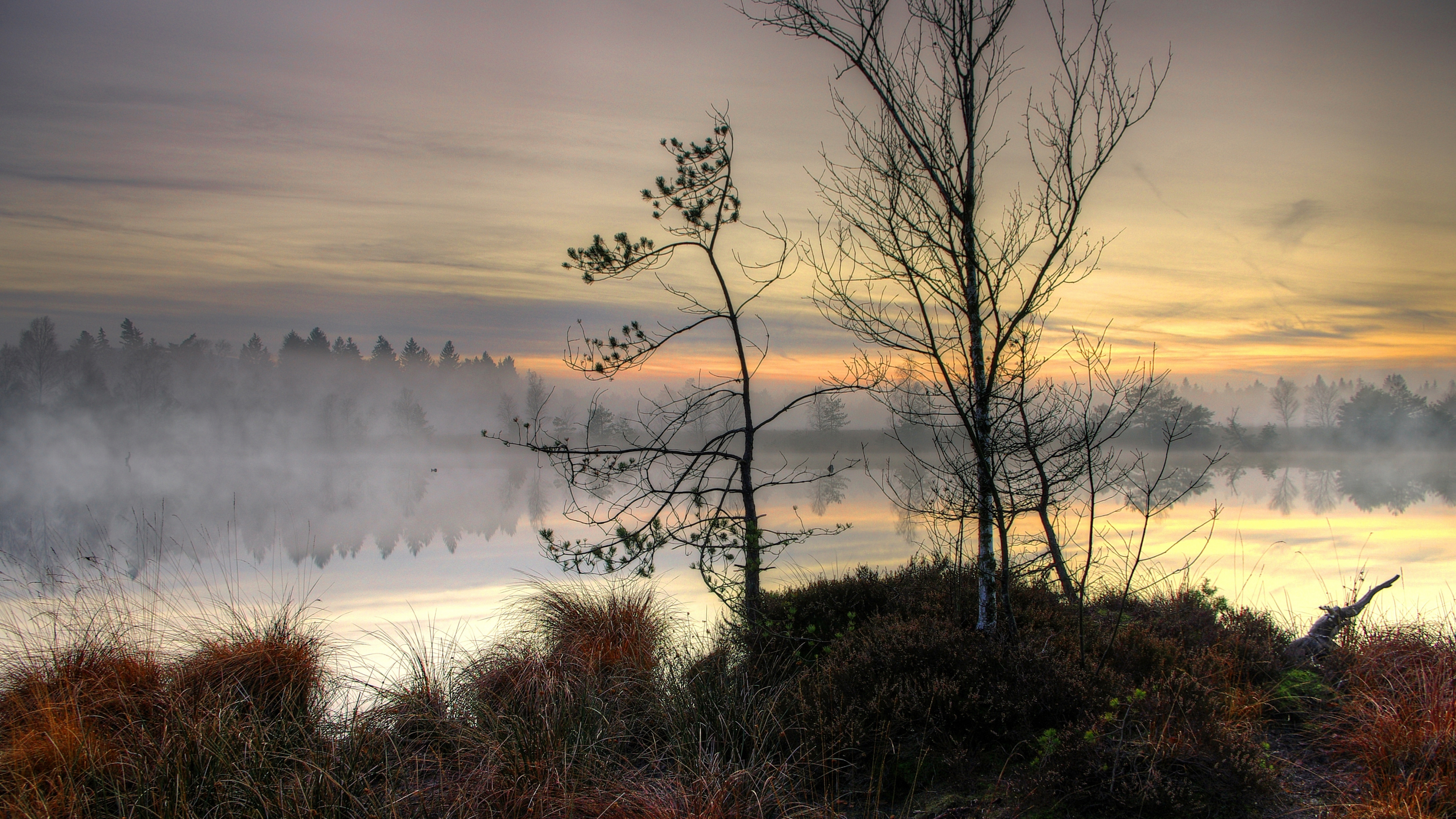 Обои закат, пейзаж, облако, вода, растение в разрешении 3840x2160