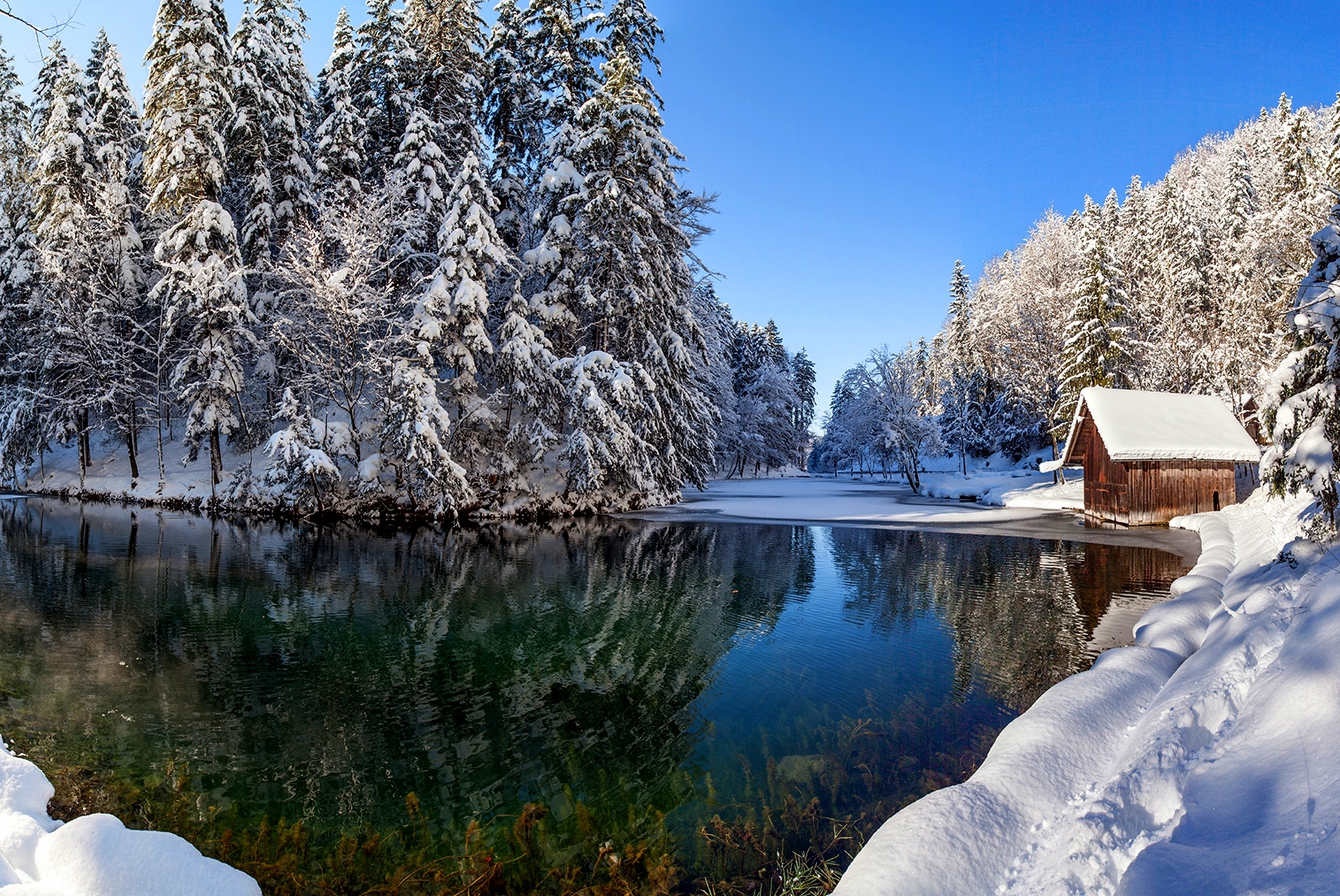 Картинка Зима Природа Фото Картинка Зима Природа Фото