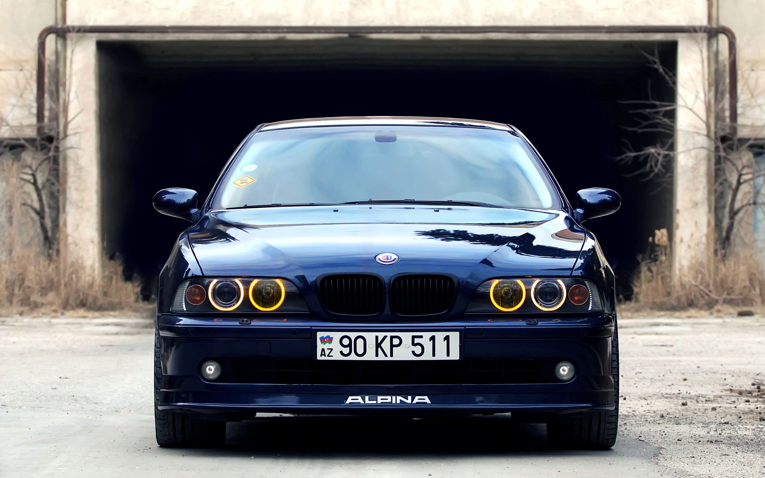 Фото bmw e39