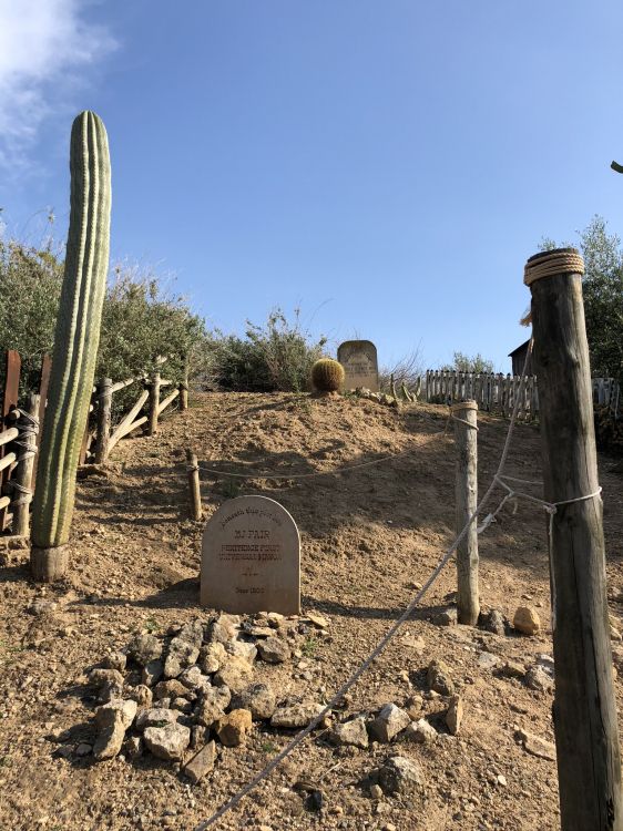 Обои кустарник, биология, наука, растительное сообщество, почва в разрешении 1536x2048