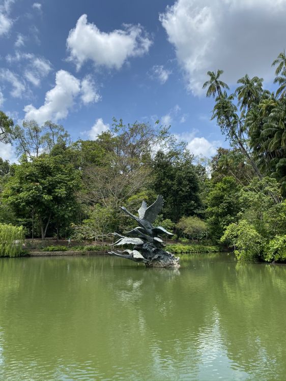 Обои природа, растительность, облако, гидроресурсы, природный ландшафт в разрешении 1536x2048