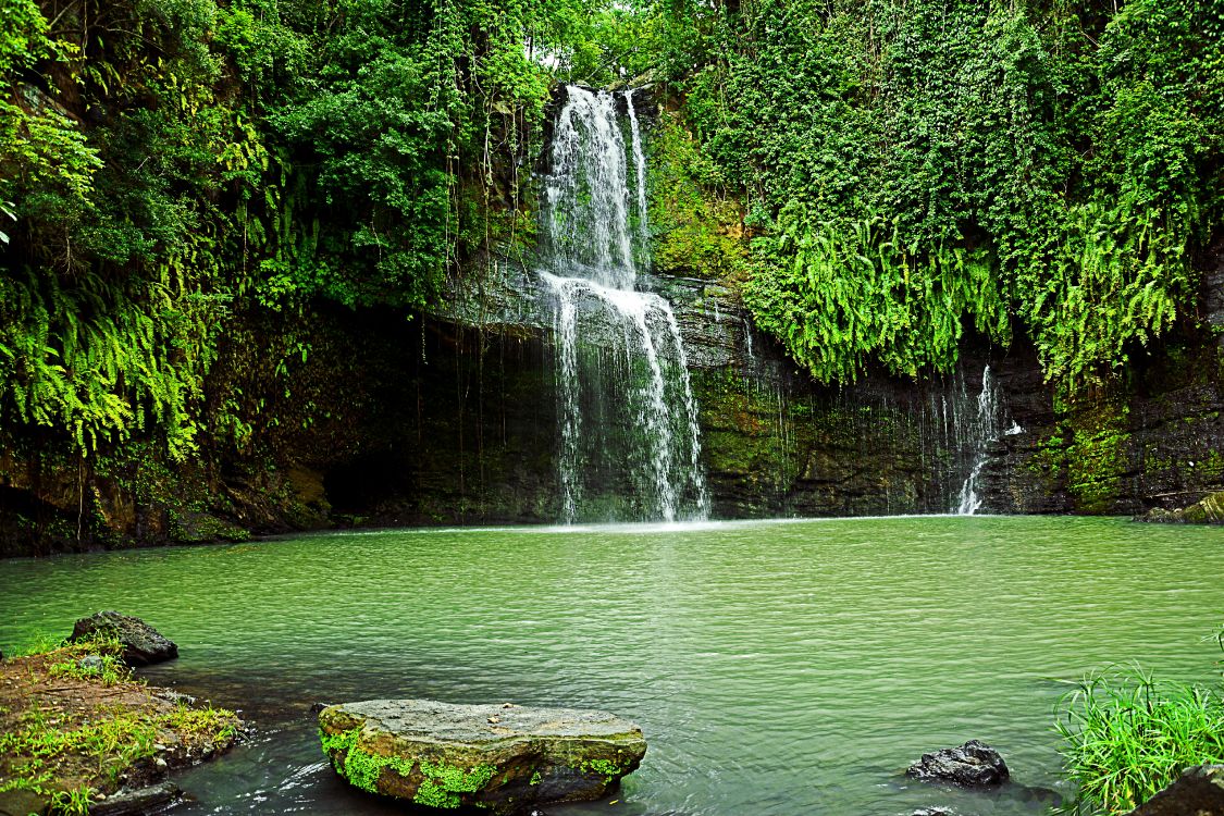 Обои водопад, гидроресурсы, водоем, природа, зеленый в разрешении 4800x3200