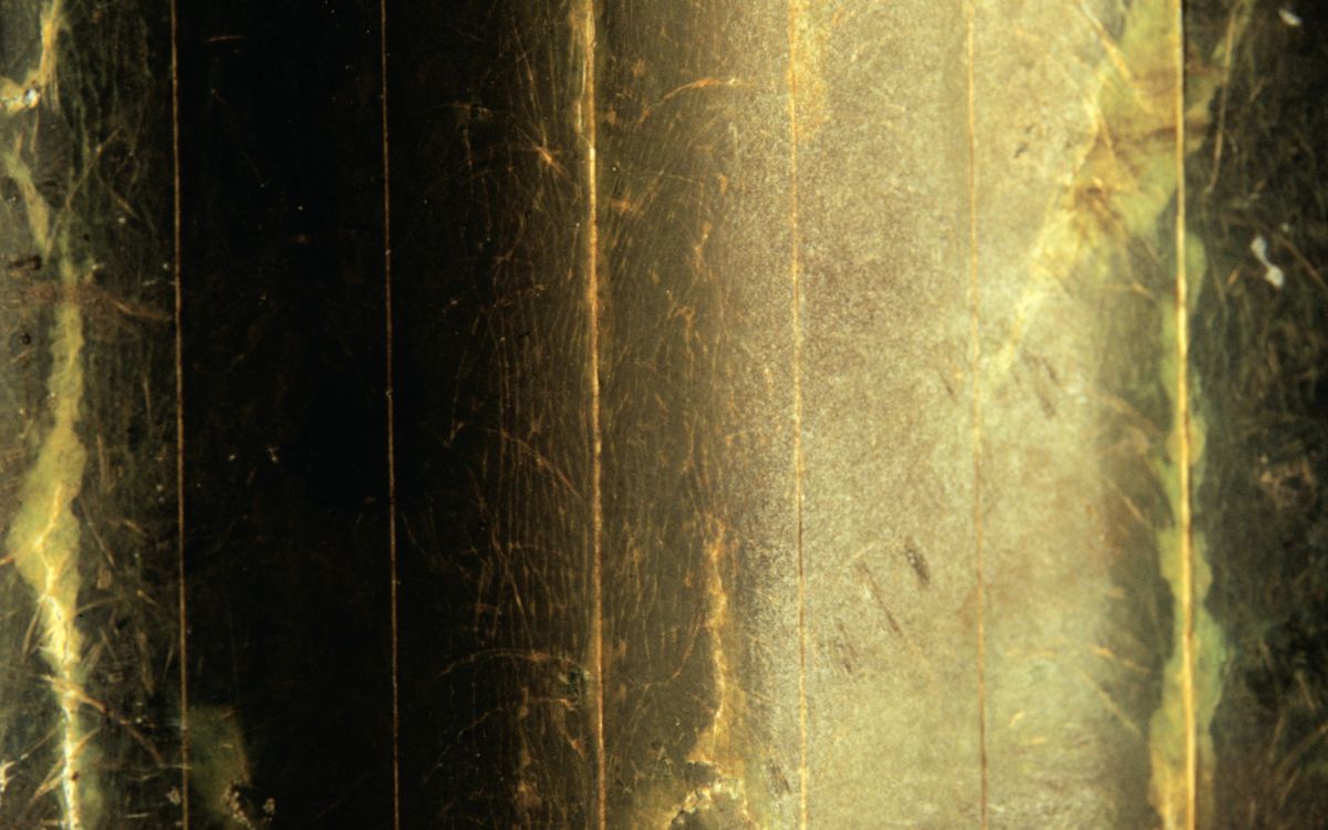 Обои текстура, древесина, дерево, лес, солнечный свет в разрешении 2560x1600