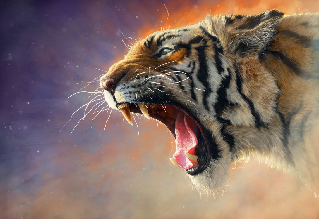 Обои тигр, рев, живая природа, бенгальский тигр, кошачьих в разрешении 2954x2031