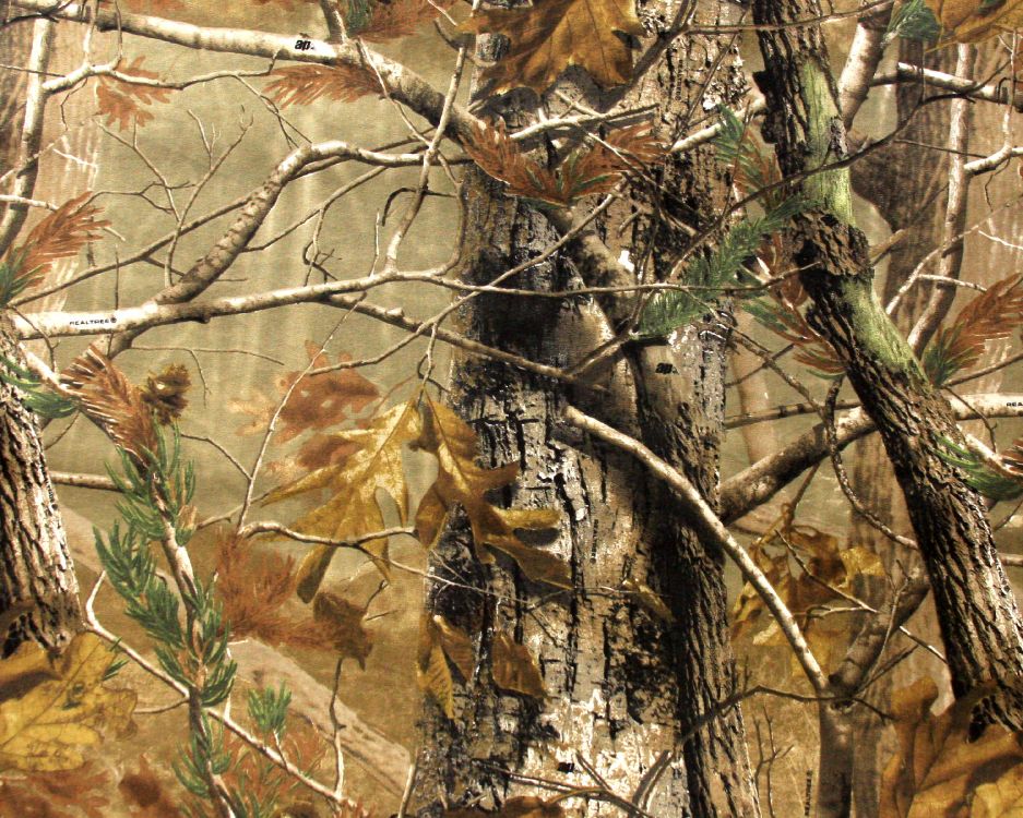 Обои камуфляж, ветвь, дерево, растение, лес в разрешении 3000x2400