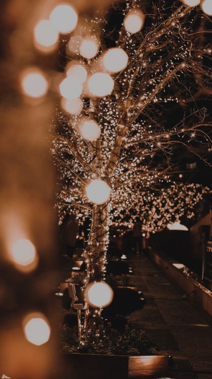 Обои свет, елка, Компания Fujifilm, Рождество, Рождественские огни в разрешении 1215x2160