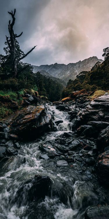 Обои природа, водопад, облако, вода, растение в разрешении 3120x6240