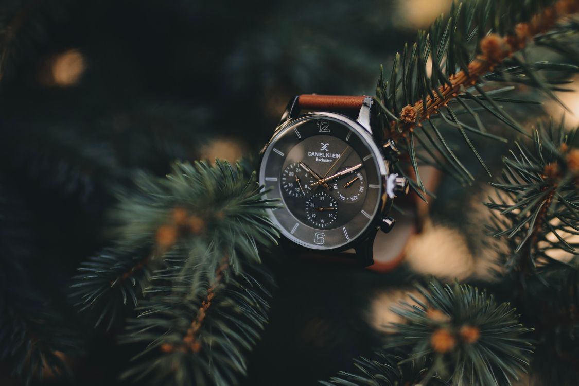 Обои часы, Даниэль Кляйн, рождественский орнамент, дерево, растение в разрешении 3936x2624