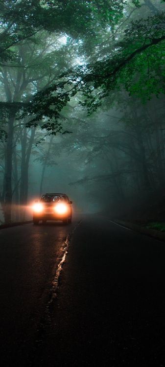 Обои яблоко, ios, атмосфера, автомобильное освещение, легковые автомобили в разрешении 1080x2400