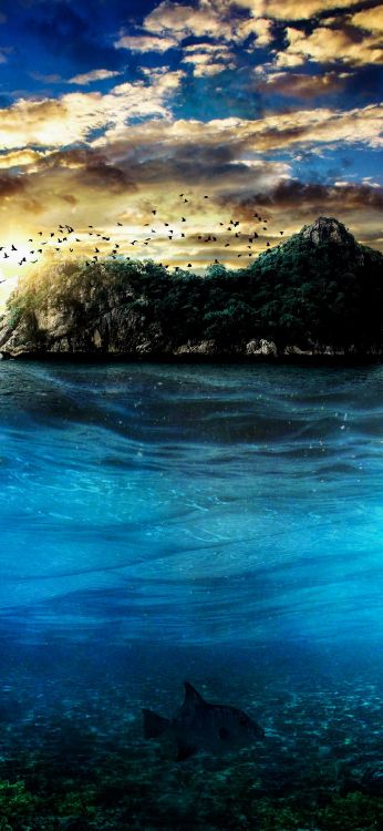 Обои OPPO A37, OPPO A53, OPPO A91, OPPO, облако в разрешении 1080x2340