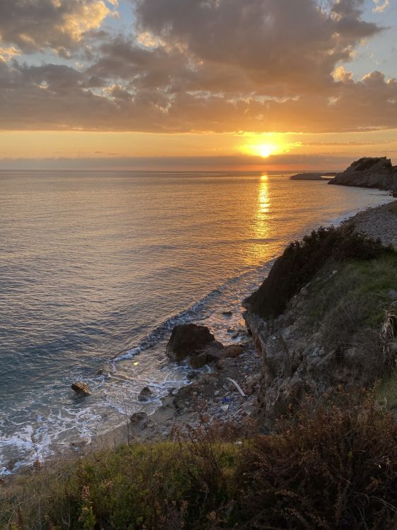 Обои побережье, облако, вода, гидроресурсы, растение в разрешении 1535x2048