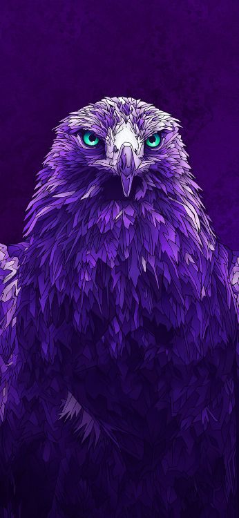 Обои Южный фестиваль 2020 года, Фестиваль ураганов 2020 года, косоглазый, Нойхаузен обек, фестиваль в разрешении 1080x2340