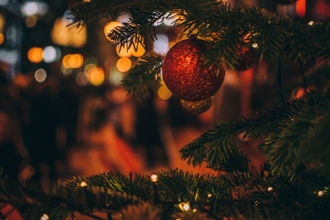 Обои Рождественский день, елка, дерево, рождественский орнамент, Рождество в разрешении 5995x3997