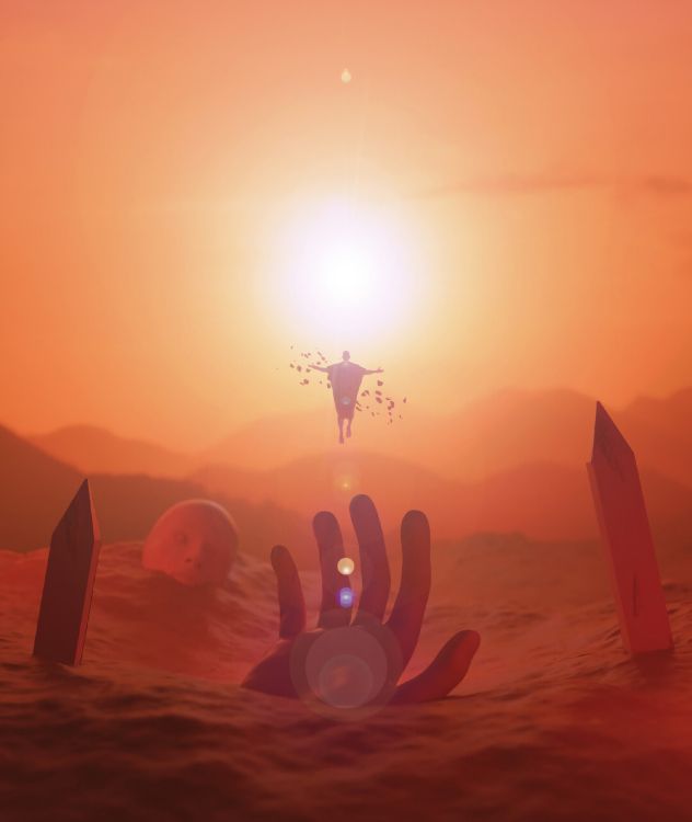 Обои восход солнца, солнце, закат, утро, солнечный свет в разрешении 2160x2560