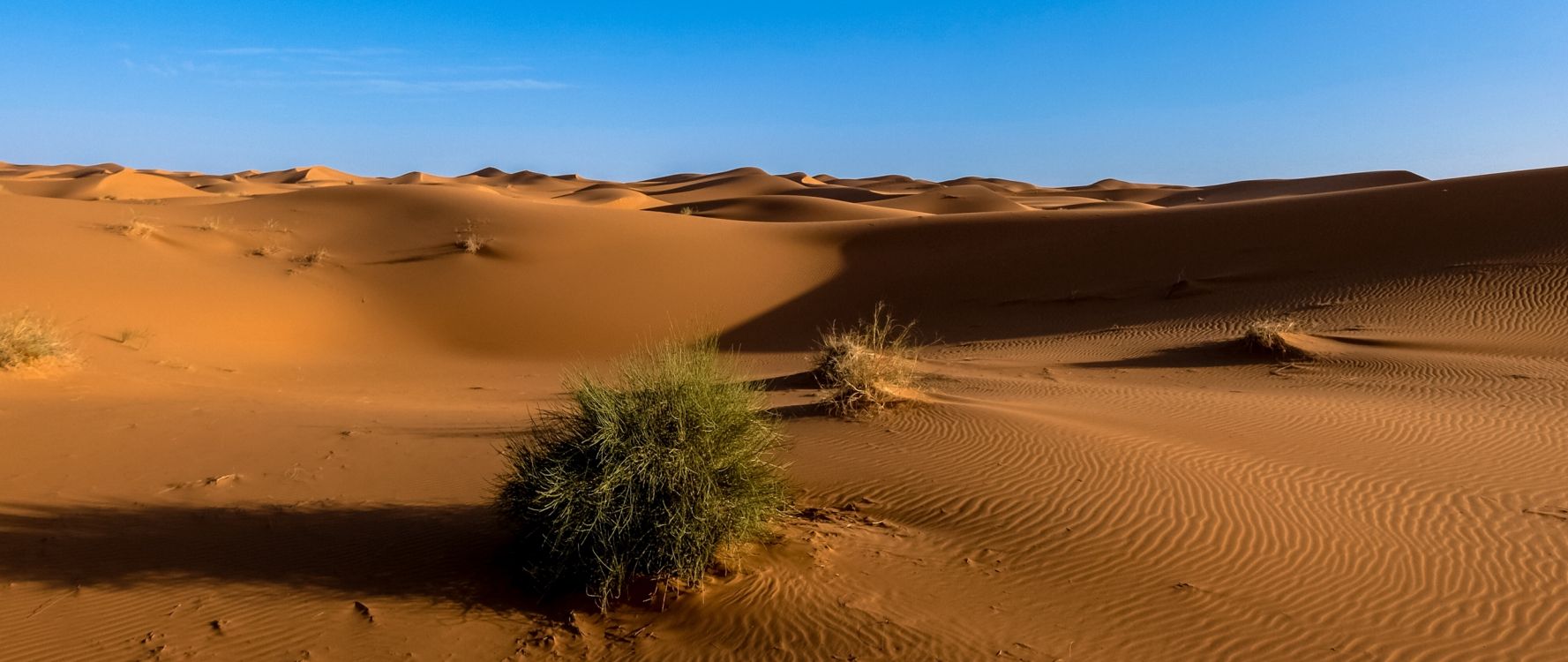 Обои пустыня, песок, эрг, эолийские рельефы, сахара в разрешении 2560x1080