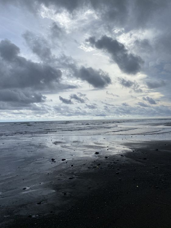 Обои вода, водоем, жидкий, жидкость, окружающая среда в разрешении 1536x2048