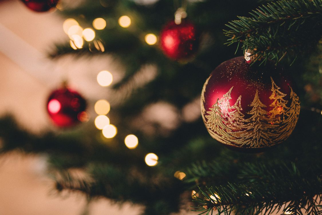 Обои Рождественский день, елка, праздник, Санта-Клаус, рождественский орнамент в разрешении 5472x3648