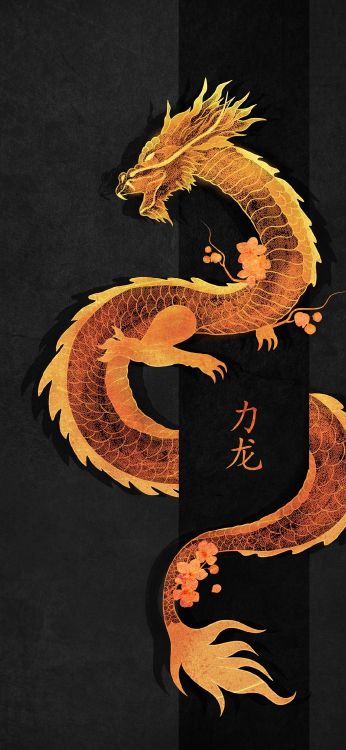 Обои змей, Лига легенд, арт, символ, мифическое существо в разрешении 1080x2340